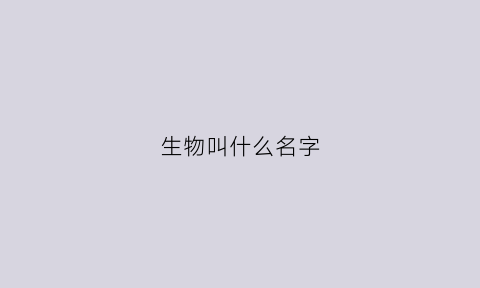 生物叫什么名字