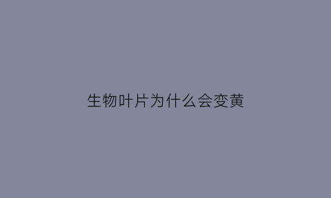 生物叶片为什么会变黄(叶片黄化的原因高中生物)