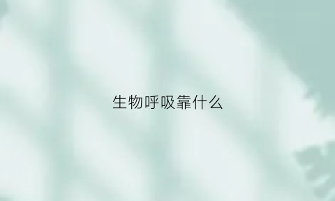 生物呼吸靠什么(生物的呼吸方式有哪些)