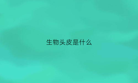 生物头皮是什么(生物头皮的缺点)