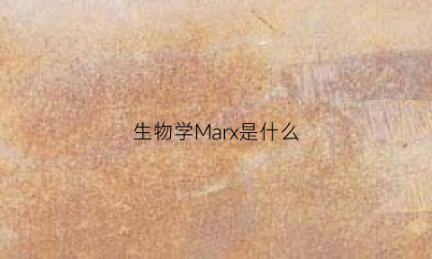 生物学Marx是什么(mas生物)