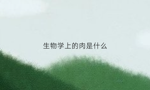 生物学上的肉是什么