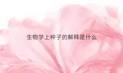 生物学上种子的解释是什么