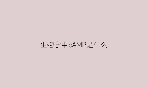 生物学中cAMP是什么(细胞生物学中camp是什么)