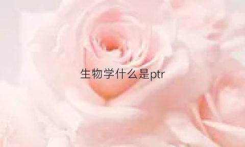 生物学什么是ptr