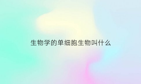 生物学的单细胞生物叫什么