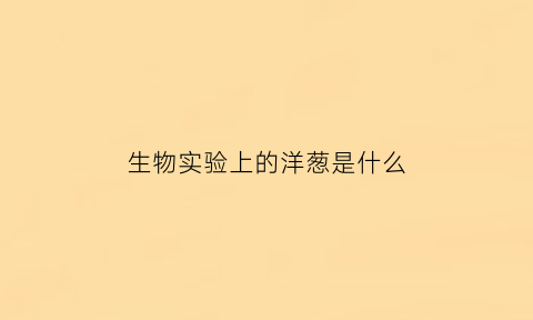 生物实验上的洋葱是什么