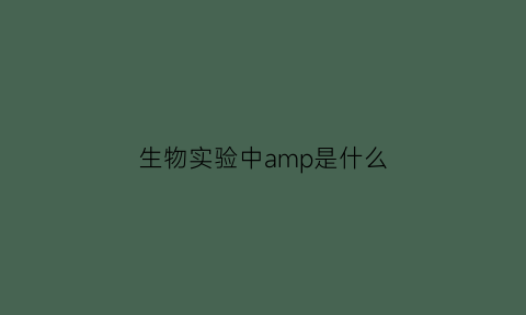 生物实验中amp是什么(生物实验中amp是什么物质)