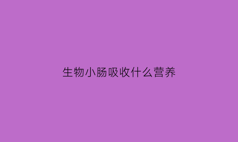 生物小肠吸收什么营养