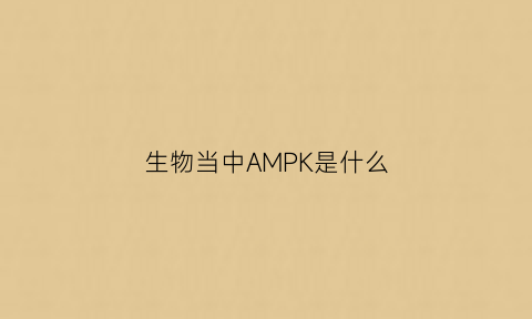 生物当中AMPK是什么(amp在生物化学中是什么意思)