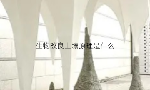 生物改良土壤原理是什么(改良土壤的物质是什么)