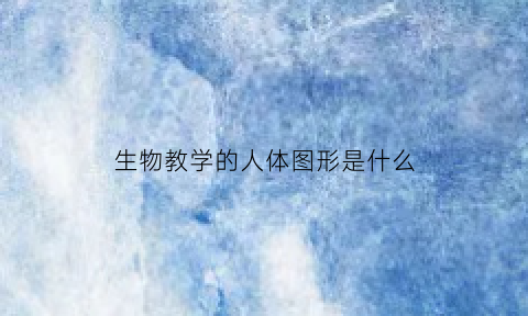 生物教学的人体图形是什么