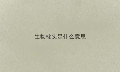 生物枕头是什么意思(生物枕头是什么意思图片)