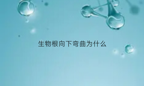 生物根向下弯曲为什么(根为什么向下生长)