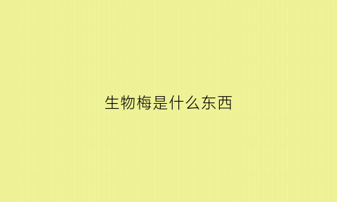 生物梅是什么东西(生物梅的作用)