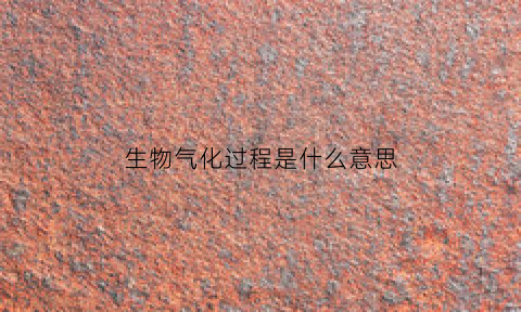 生物气化过程是什么意思(生物气化过程是什么意思啊)