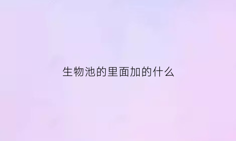 生物池的里面加的什么(生物池工艺)