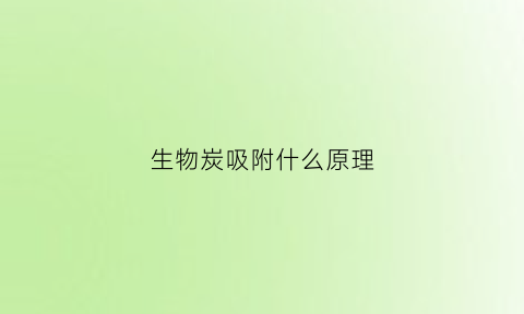 生物炭吸附什么原理