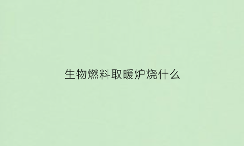 生物燃料取暖炉烧什么(生物质燃料取暖炉)