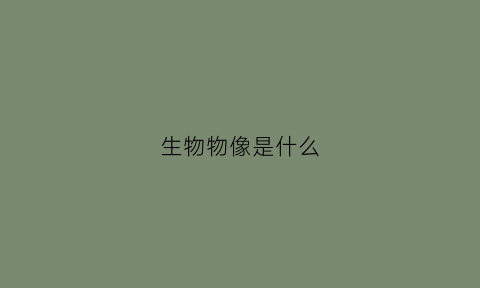 生物物像是什么(物像形成的部位是什么)