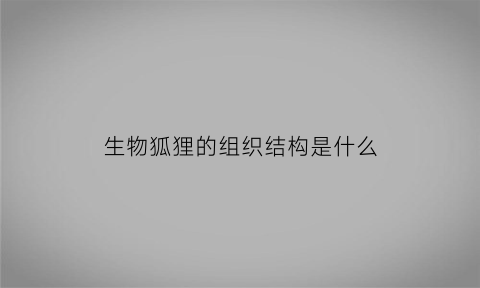 生物狐狸的组织结构是什么(狐狸的结构和特性)