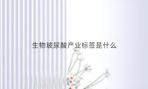 生物玻尿酸产业标签是什么(生物科技食用玻尿酸)