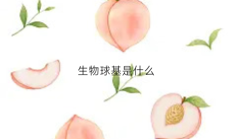 生物球基是什么