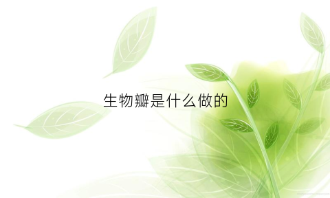 生物瓣是什么做的(生物瓣图片)