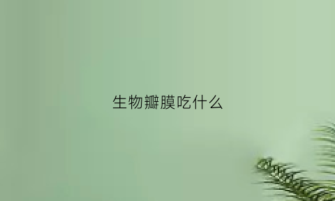 生物瓣膜吃什么(生物瓣膜要吃药多长时间)