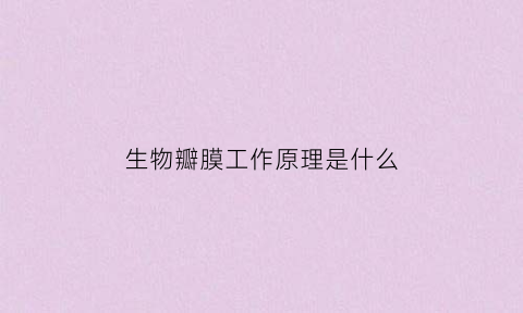 生物瓣膜工作原理是什么(生物瓣膜工作原理是什么意思)