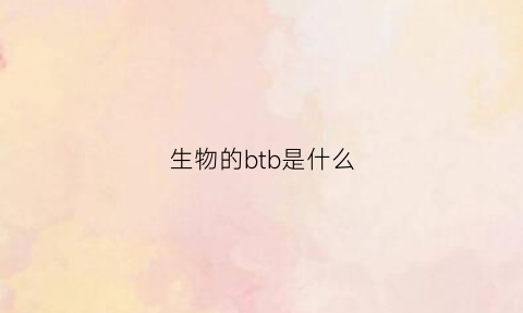 生物的btb是什么