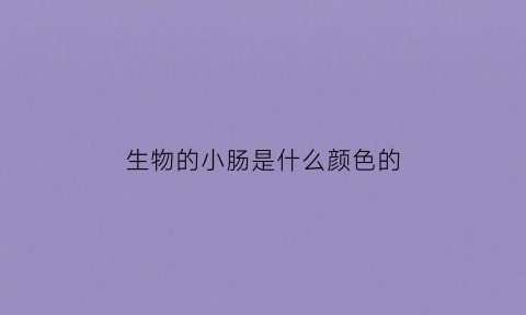 生物的小肠是什么颜色的(生物课小肠模型)