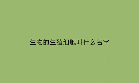 生物的生殖细胞叫什么名字(生殖细胞是由什么组成)