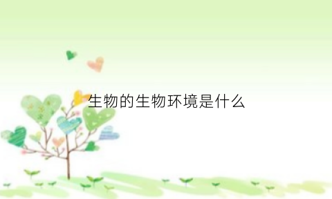 生物的生物环境是什么