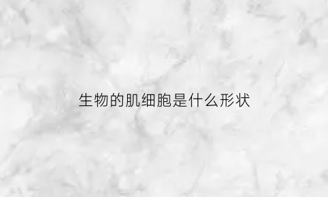 生物的肌细胞是什么形状(高中生物肌细胞的特点)