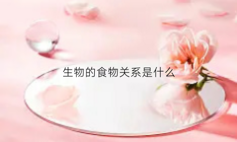生物的食物关系是什么(各种生物的食物关系是一种什么和什么的关系)