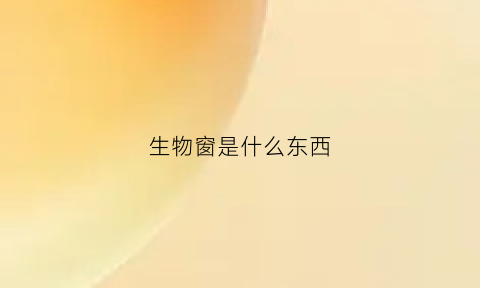 生物窗是什么东西