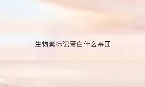 生物素标记蛋白什么基团(生物素标记蛋白什么基团最稳定)