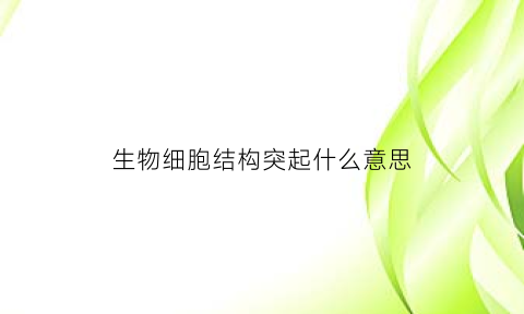 生物细胞结构突起什么意思(生物细胞结构模型图)