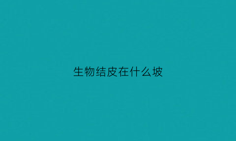 生物结皮在什么坡(生物结皮的演替)