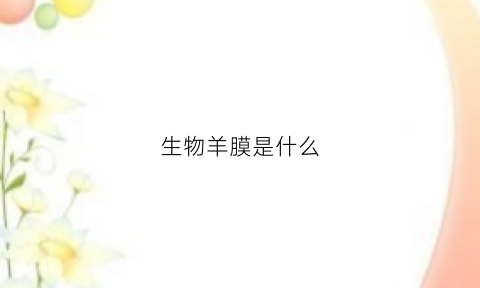 生物羊膜是什么(生物羊膜是什么东西做的)