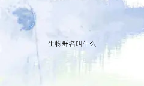 生物群名叫什么(生物群群名)