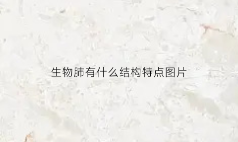 生物肺有什么结构特点图片(生物肺的结构图)