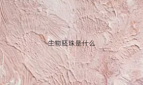 生物胚珠是什么(生物胚是什么意思)