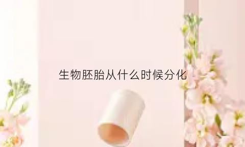 生物胚胎从什么时候分化