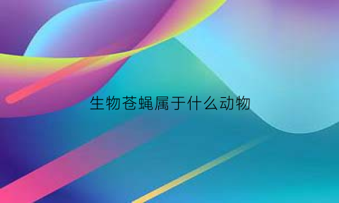 生物苍蝇属于什么动物(在生物分类中苍蝇属于什么动物)
