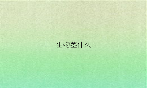 生物茎什么