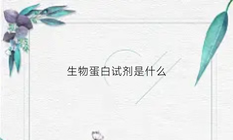 生物蛋白试剂是什么(生物蛋白是做什么用的)