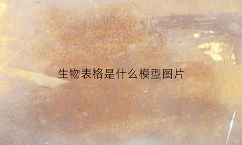 生物表格是什么模型图片(表里的生物表格)