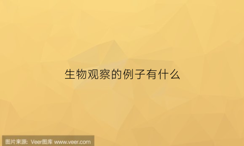 生物观察的例子有什么(生物观察的基本要求有哪些)